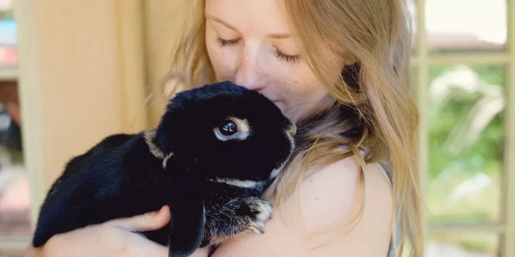 How Do Smart Pet Products Make Pet Ownership Easier and More Convenient? How Do Smart Pet Products Make Pet Ownership Easier and More Convenient?