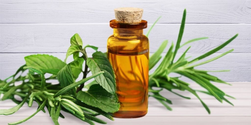 The Benefits of Using Essential Oils in Your Bath and Body Routine The Benefits of Using Essential Oils in Your Bath and Body Routine