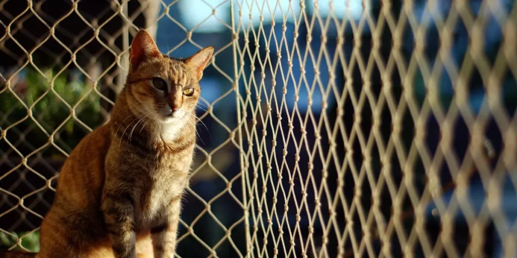 Top Smart Pet Gadgets for Enhanced Safety and Security Top Smart Pet Gadgets for Enhanced Safety and Security